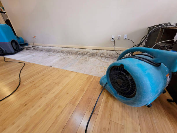 Professional Water Extraction technician working in Homer, MI